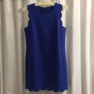 J.Crew Cobalt A-line scallop dress